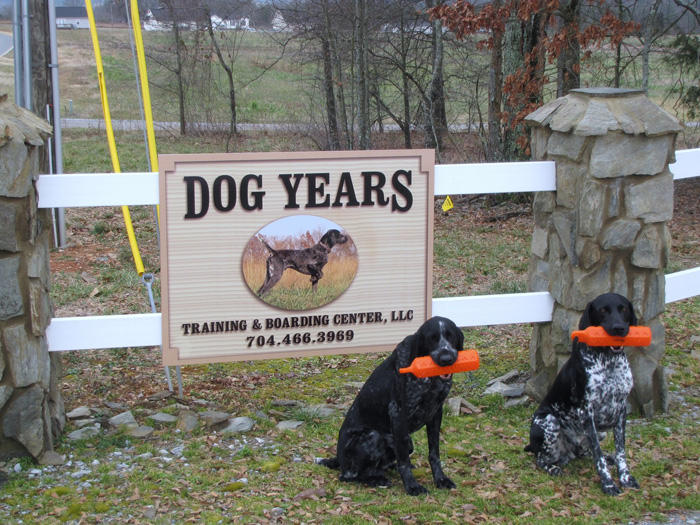 Pointing Dog Training Services, Dog Training Asheville NC, Saluda, Franklin NC, Burnsville NC, Banner Elk, Boone NC, Sylva NC, Spruce Pine NC, Hot Springs, Blowing Rock NC, Tryon NC